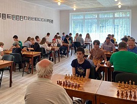 Члены Луганской региональной организации ВОС приняли участие в турнире по шахматам