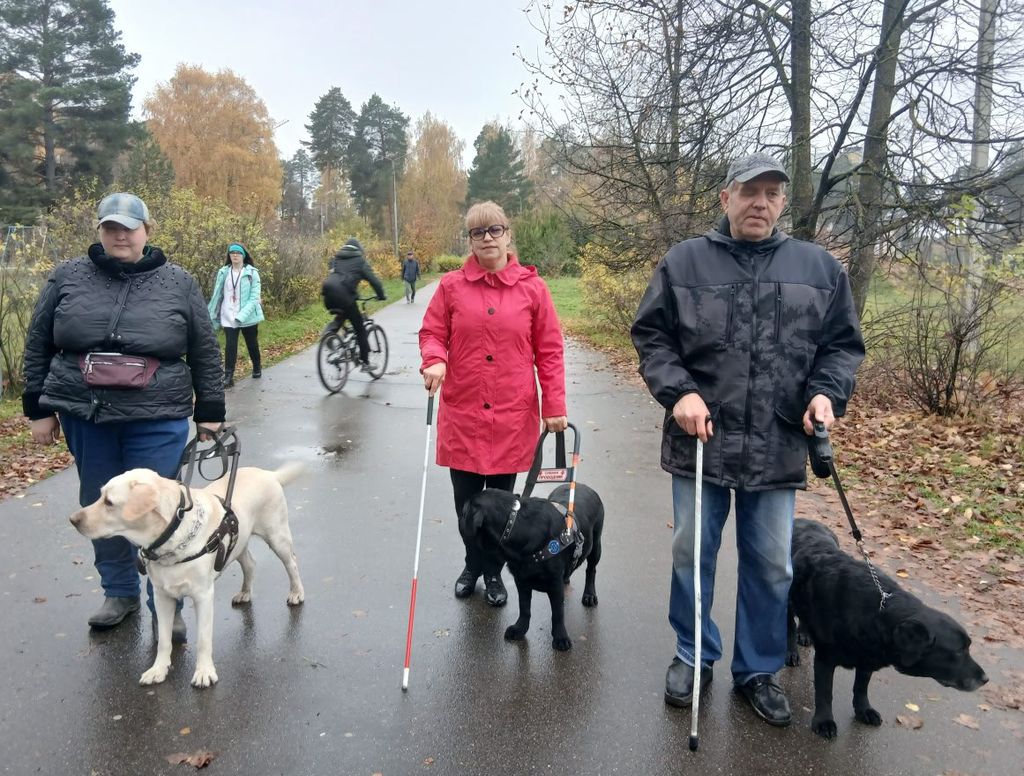 Незрячие с собаками-проводниками на прогулке