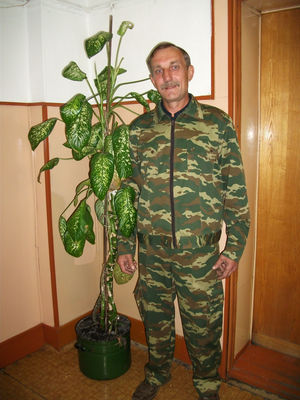 Иконка изделия