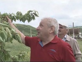 В Дагестанской РО ВОС образована новая местная организация во главе с талантливым активистом