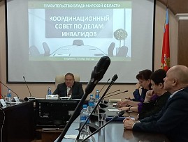 Председатель Владимирской региональной организации ВОС выступил на заседании Координационного совета по делам инвалидов при губернаторе области
