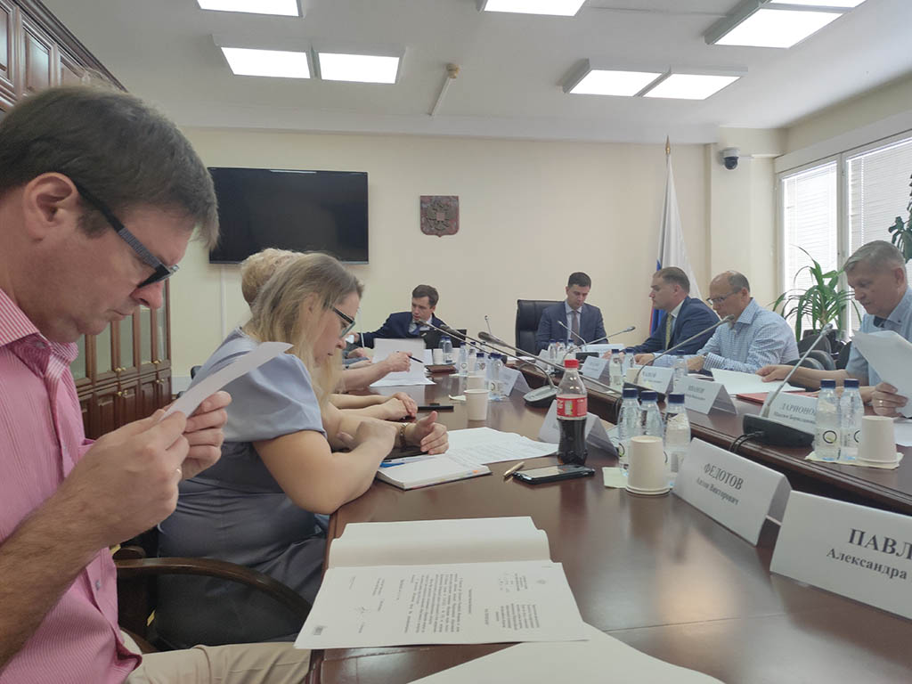 Специалисты аппарата управления ВОС докладывают об актуальных вопросах обеспечения доступной среды для незрячих в РФ