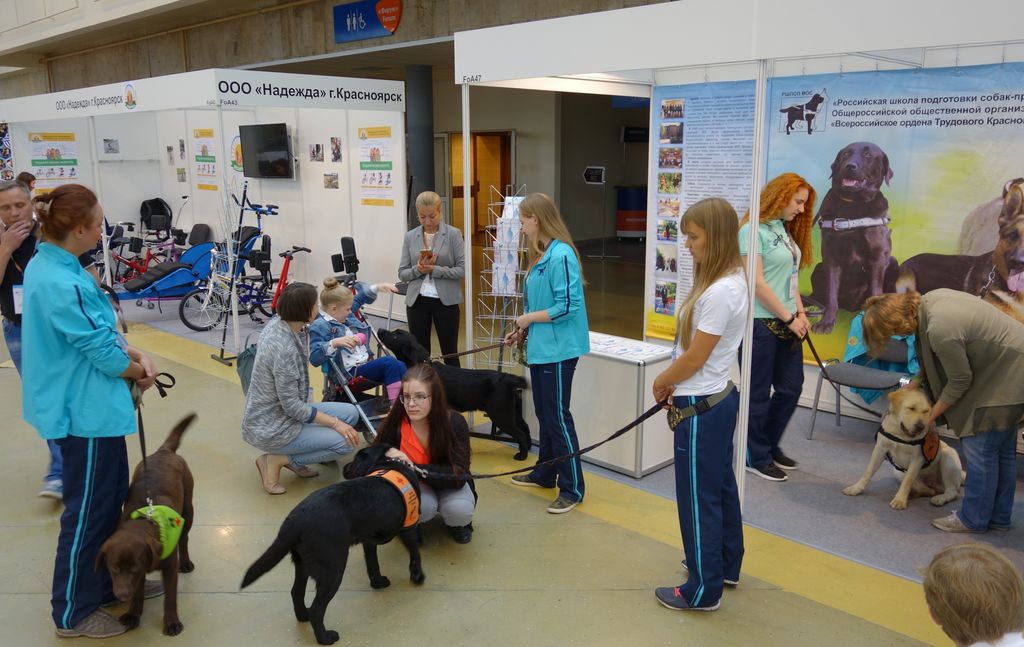 Посетители выставки общаются со собаками-проводниками