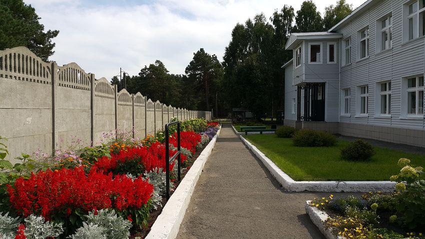 biysk65 6