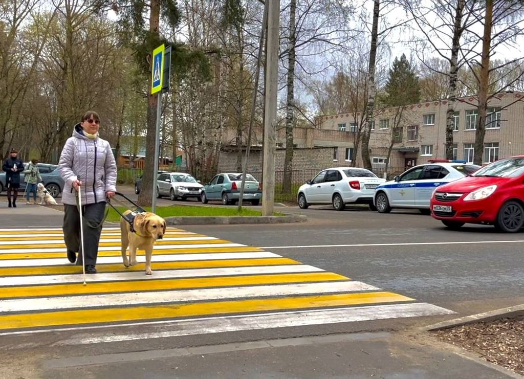 dostupnaya sreda Vologda2025
