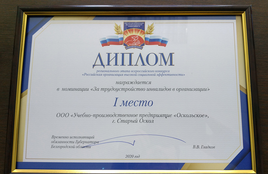 Диплом за 1-е место в номинации «За трудоустройство инвалидов в организациях»