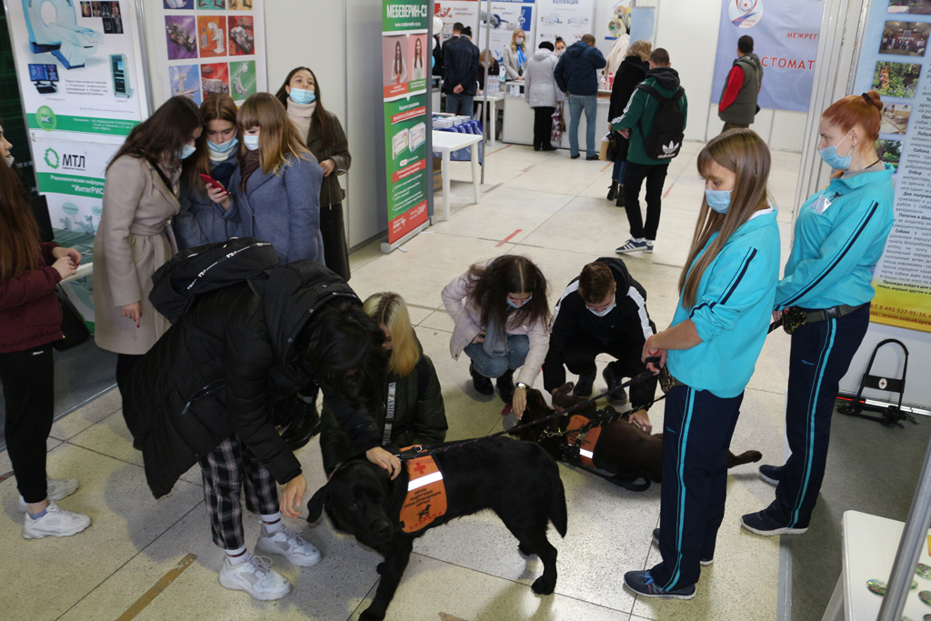 Посетители выставки знакомятся с собаками-проводниками