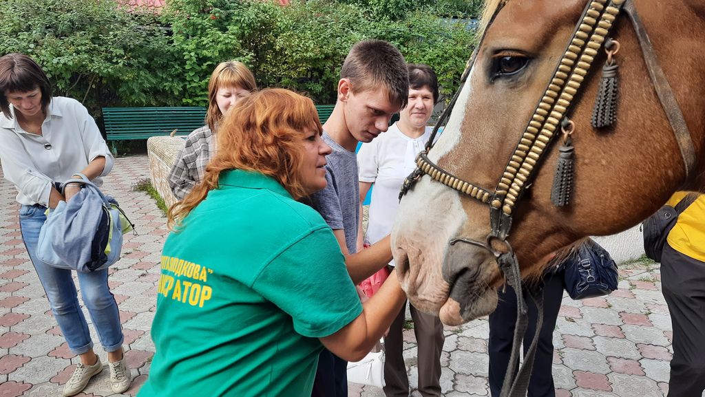 Тактильное знакомство с лошадьми