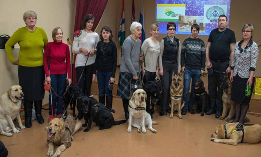 Активисты Новосибирской РО ВОС вместе со своими собаками-проводниками