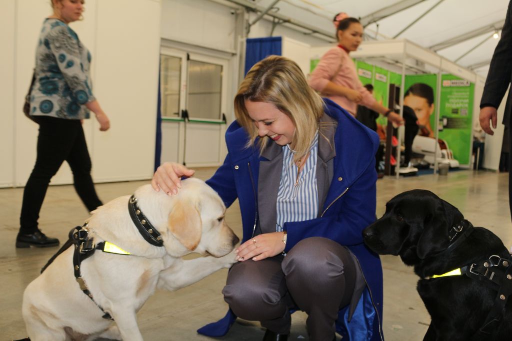 Счастливые посетители выставки общаются с собаками-проводниками