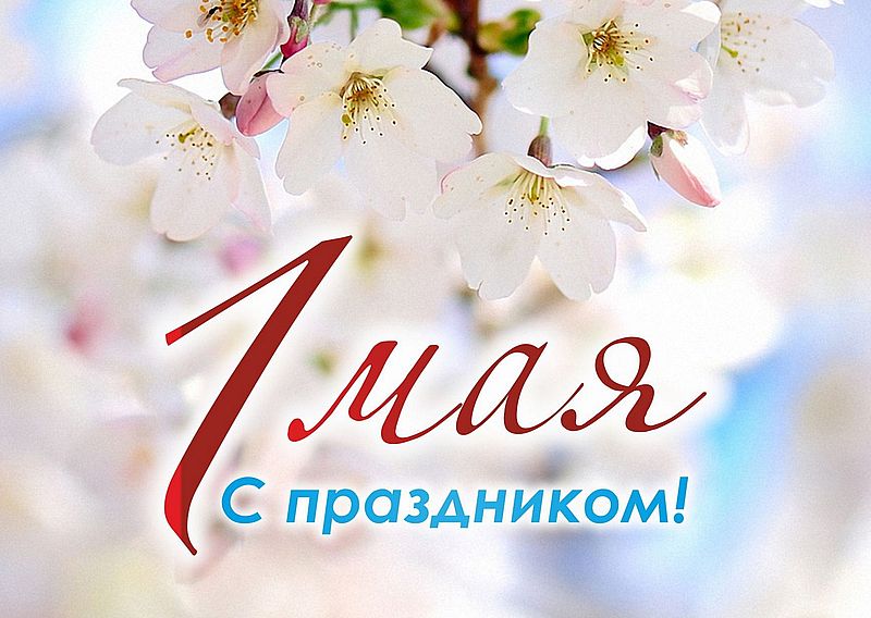 на картинке на фоне белых цветов надпись: "1 мая, с праздником!"