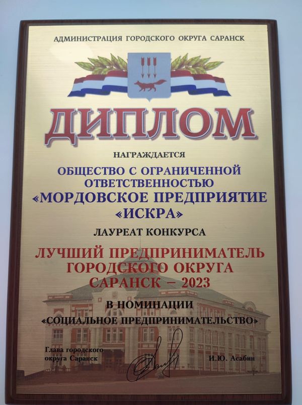 Дипломом лауреата в номинации «Социальное предпринимательство»