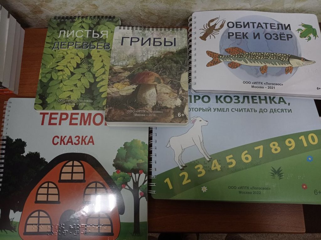 Обучающая литература для юных инвалидов по зрению ЛНР