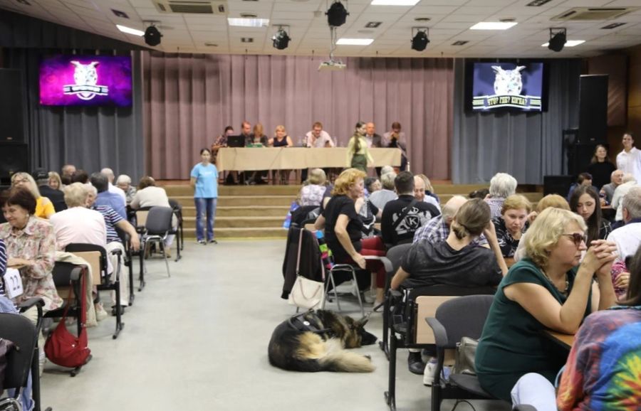Знатоки Московской городской организации ВОС внимательно слушают вопросы ведущей
