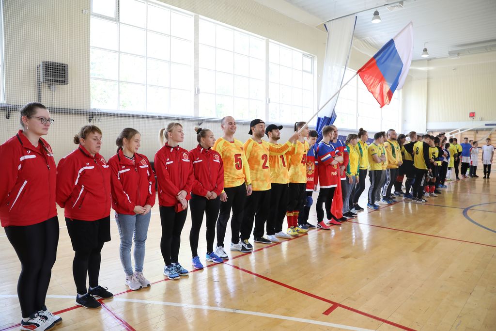 Общественная организация спортивные федерации россии