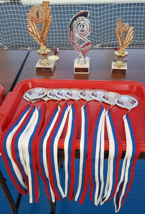 Медали и кубки, подготовленные для награждения победителей турнира